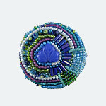 bead-sampler5